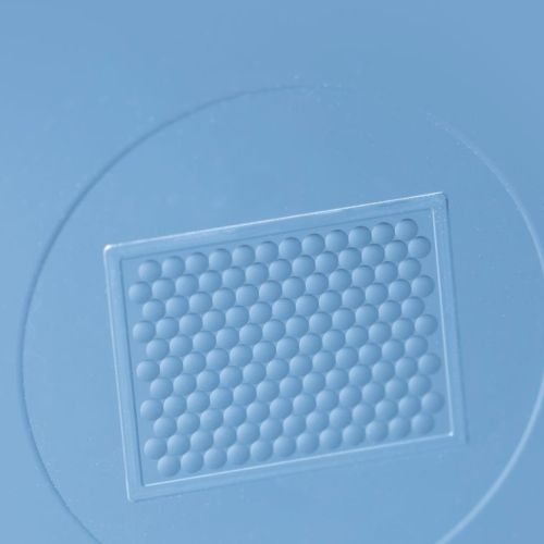 DC11634.jpg