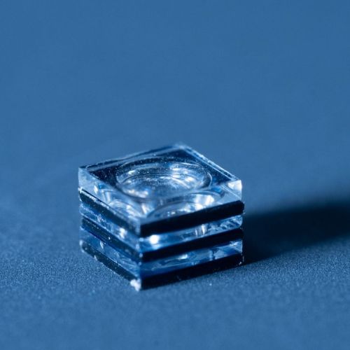 DC11645.jpg